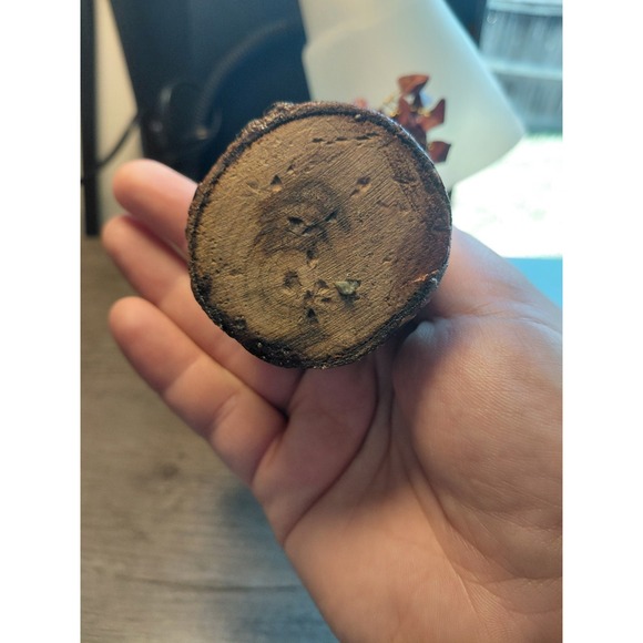 Multicolor Gemstone Wire Tree Sculpture Wood Base Handmade Decorative Figurine - Picture 3 of 4